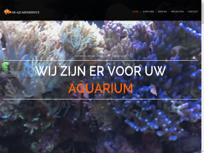 aquarium aquariumservic bouw by contact copyright hom installatie mr onderhoud ontwerp project servic wij