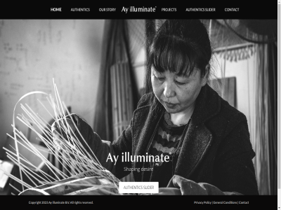 2023 all authentic ay b.v condition contact copyright desir general hom illuminat our policy privacy project reserved right shaping slider story