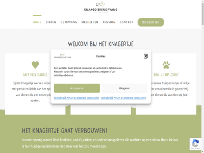 -30874970 -4400940 00 06 070 0824 1 100 12 14 16 17 18 19.30 1e 2 2025 22 3 41160021 54 7 805877484 8233 850 aankop abna accepter activiteit adoptie adres afhank afsprak afstand algemeen@knaagdierenopvang.nl algemen all ambitieus ambulanc anbi asiel balthazar baltimor bank barry beeld begeleid beher bent beter bezocht bezoek bezoeker bezoekjes bied bijdrag bingo binnengebracht black blijv brengt buit cavia chinchilla contact cookiebeleid cookies copyright crer dank december degoe den dichter dier dierendonatie dierenlot dierenvoedselbank dierenvri dinsdag direct doe doel donatie donaties donderdag doner drastisch drom duurzam e e-mail echt een elektrisch elk erkend ervor facebok financier ga gan gat gebruik gebruikt gedeeld gef geholp geld gelukk gesteld gev gevond goed grag grot haagland hag hamster helas held help helpt hierdor hieronder hiervor hog hom huidig huisdier huisgenootjes huisj hulp ieder iederen inhoud inkomst instell januari jar jarig jij jou jouw kan kerstuitreik kijk klar klein knaagdier knaagdierenopvang knagertj knuffelteam knuffelvriendin kom komend komt konijn kost kostenbespar kreg krijg kun kunt kvk kwijt laatst lat leeft ler les lev liefd liefdevol liefdevoll liev lik m m/v maakt maand maandag maatj mail mak medisch mee meehelp misschien moet muis naast nieuw nl12 nod nodig onderkom ontmoet ontsnapt ontworp onz openingstijd openingsur optimaliser opvang opvangcentra organiser over passie pension pensionbijdrag plan plann plek plekj pluisbal prijs privacy project quincy rat regelmat rsin ruimt ruimtes rust s sam schol senior stap status steun stichting stieltjesstrat t.n.v telt thuis tijd tijden toekomst toestemm totdat transport tuin twitter uitdag uitplaats uur vanaf vd veilig verbeter verbouw verjaardag verlen vernieuw verschil verstopp verzorg verzorgingshuis vier vind virginia voedsel voel voldoend volg volgend voorwaard vrag vriend vrijdag vrijwilliger wacht war warm we websites weegbree weiger welkom werk wij wildopvang winterfair woens