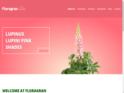 +31 0 1977 251720 30 573 67 7241 80 a aalsvoort about acaulis after aim an and are as asked at availabl be begonia best both call can channel commercial committed commodities company condition consistent contact could currently customer cyclam deliver design development distribution do download due early etc even experienc expertis extensiv f1 family few floragran flower flowersed for founded from gard goal greenhous grower hav high highest hybrid ict if important impression improv isolated item known linkpartner located lochem lok lupini lupinus ma mad maintain market meantim met mid mor most netherland new next nowaday o.p offer on ontwerpstudio open originally our own owned packet part partner passion pink pollinated possibl primula produc produced product production quality rang read renowned requirement s sales sed semperfloren servic shades should sinc small som specialized standard started still stocksed such supply tel term that the them thes think this through to trad trusted us used value varieties veldmat vermer viola waiting we welcom well well-known what wher wid wildflower worldwid year