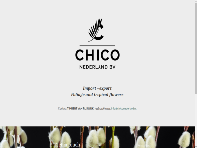 +316 5326 5921 and bv chico contact export flower foliag get import info@chiconederland.nl logo marit messag nederland rijswijk timbert touch tropical turk websit