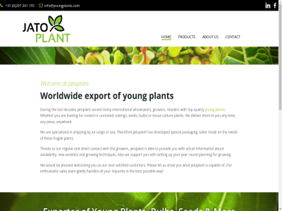 +31 0 155 297 341 about air all any anywher are as at be best bulb by capabl cargo condition contact content cultur customer cutting decades deliver developed during enthusiastic export exporter for fragil general gladly grower handles has hom info@youngplants.com inquiries international jatoplant last let looking mad many mor ned next on or our packag plac plant pleas pleased possibl product quality retailer rooted sales satisfied sea sed served shipping show skip special specialized tailor team the them therefor thes tim tissue to top unrooted us way we welcom what whether who wholesaler with worldwid would you young your
