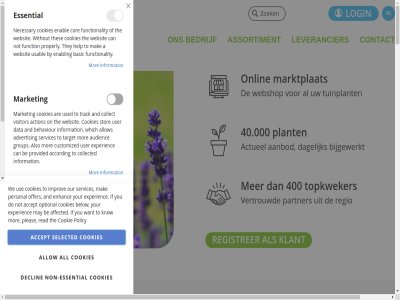 +31 0 00 0590 08 12.000 17 2026 23 2391 4 40.000 400 4881 599 76 a aanbod aantal about accept accord action actueel advertis advies affected afhandel algemen all allow also analytic and are assortiment audienc b.v basic be bedrijf bedrijfsvoer bedrijv behaviour bekijk belangrijk belgie below bestel bestelt betrouw bied bijgewerkt bom bundel bv by can clos collect collected complet contact cookie cookies copyright cor customized dagelijk data de declin dienst dinsdag direct distributie do donderdag dorp duurzamer een eenvoud efficient efficientie elk enabl enhanc ernar essential experienc expertis financiel function functionality gebruik gebruiker gebruiksvriend gedeeld gedoe geslot gewenst googl groei groen group haagplant hazerwoud hazerwoude-dorp help hulpmiddel identify if improv individual information innovatie italielan kies klant know koninkrijk kracht krachtig kunt kwaliteit kweker lever leverancier leveringsket locatie login logistic logistiek maandag mak market marktplat may moeitelos moment mor ne necessary nederland netwerk nieuwsbrief nl nodig non non-essential not oekelseban offer offertes on onlin onz open openingstijd optimal optimaliser optional our overzicht partner passie personal personally plant platform pleas plek policy prijz proces product properly provided pz read regio registrer reken report reserved right roz ruimtes samenwerk schakel schrijf sector selected services set shop snel stat statistic stelt stor streeft struik target tel the thes they to toegang toonaangev topkweker track transparant tuinplant tuinprofessional tuss uitgebreid usabl usag use used user uur veilig verenigd verkop versterk vertrouwd verzorg vind visitor voorrad voorwaard vrag vrijdag we webshop websit wekelijk which wij without woensdag you your zaterdag zie zodat zoek zondag zundert