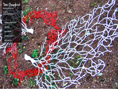 beeldend burghout contact cv home/slideshow info iris iris@irisburghout.nl kunst nieuw opdracht vrij werk