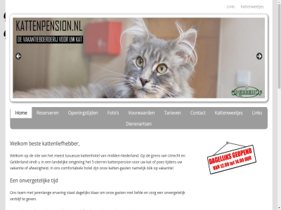 -415321 0317 3911 5 57 aandacht aantrek aanwez actief afdel afwez ago allerlei as baasjes behor bel best bezoek binn blijv buffet buikjes buit cat comfortabel contact dag dagelijk dierenart dierenarts dierencentrum dynamisch erg ervar eten forgot foto ga gast gat gehoud gelderland gen genoeg gerust gev gevuld god grebbehof gren hart hav hom hond hond-vrij hotel info@kattenpension.nl informatie inhoud jarenlang kat katten-gast kattenhotel kattenliefhebber kattenpension kattenpension.nl kattenweetjes klar klimm knuffel/activiteitenteam krabpal kunt kwaliteitsmaaltijd landelijk liefd liefst liev link lopend luxueuz mail makkelijk meest mid midden-nederland missie mogelijk namelijk nauwlet nederland never nud omgev onlin ontspanningsruimtes onverget onz ook openingstijd person personel poes prijs prijz reserveerpagina reserver rhen rond ruim ruimt rustig s sanitair schoonmak senior simpelweg sit slap special speeltjes spel stat stell sterr tariev team telefonisch this thousand tijd tijden toevertrouw uiteraard uitgenodigd utrecht vakantie vakantieboerderij vandag ver verblijf verschill verwacht via vindt vk volgend voorwaard vorig vriendelijk vriendj vrij wekelijk welkom wens wer wij worshipped year zelf zintuig zorg zowel