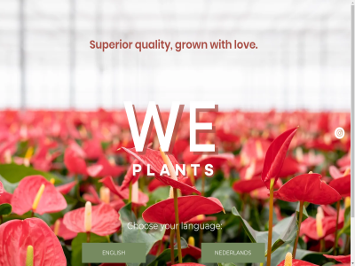 2020 all anthurium by chos english grown languag lov nederland plant privacy quality reserved right ros sit studioo superior we we-plant with your