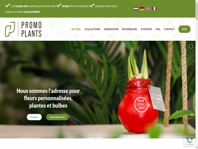 +31 0 174 2026 23a 2675am 43 76 90 accueil adres affaires aimerion aller appelez appelez-nous au avec b2b bas bulbes cadeaux chaque chos collection condition confidentialit contact contenu copyright d declaration demand des deu devis discuter e e-mail ecologiques entrepris entreprises envoyez envoyez-nous et faq fleur honselersdijk info@promoplants.fr inspiration l le les mail navigation nous occasion ou pay pays-bas personnalis personnalisee personnalises plantes plus possibilites pour prendr promoplant promotionnel propos quelque realisation revendeur sommes stationsweg studioblauw un unique utilisation vert vous à