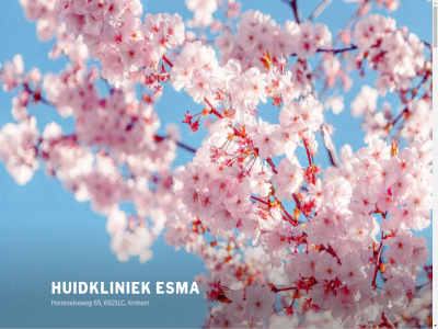 -35 00 026 09 10 100 12 120 15 150 18 199 20 25 27 3 30 300 35 40 50 51 60 65 6821lc 75 89101132 90093815 90111152 92714099 a aandacht aangeslot acnebehandel afhank afsprak agb all anbos arm arnhem atabey begeleid behandel behandelmethodes bel/email ben benen/armen best bezoek bikini boek bovenarm bovenben bovenlip brown buik camouflag carbon cavitatie contact couperos daarnaast deelbehandel dhr di direct do e elektrisch enz epiler ervar esma g gebruik gebruikt gediplomeerd gehel gelat geslot gesprek gev gezicht goed gratis grot gunstig hal har hars hel henna hommelseweg huidkliniek huidtherapeut huidverstev hydrafacial info@hkesma.nl informatie ipl juist jukbeender kalknagel ker kin klar klein klik kom kortom krijgt kvk lang laser lash lifting lightsher littek littekenbehandel ma mak materiaal max medewerker meest merk mesoestetic mevr microneedl min minut mogelijk mogultay nek nieuwst nodig nvh oedeembehandel oksel onderarm onderben ondersteund onthar onz openingstijd oppervlak orienter peeling per plat praktijk prijs prijsafhank product resultat rug sam schoonheidspecialist schouder soort spier stan stimulatie t tandenblek tariev tattoo team technologie tijd total touw uitsluit vanaf vergoed verv verwijder vind vr we wenkbrauw werkt wij wimper wo wordpres za zorgverzekerar