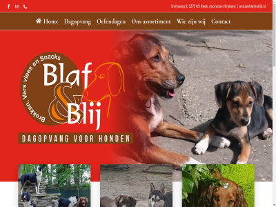 00 06 07 128 18 2026 24 251 290 30 49 5375 667 9 algemen anita anita@blafenblij.nl app assortiment bereik blaf blij brabant contact copyright dag dagopvang doordewek e e-mail facebok ga hom hond hondenvoer inhoud kivo ks kvv later mail nem noordoost oefendag openingstijd phon prober proefdag rek smitsweg sprek tariev telefonisch telefoon/whatsapp thijs thijs@blafenblij.nl tuss vakantiesluit voicemail voorwaard werkwijz wij