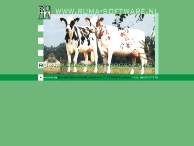 management ruma rundvee