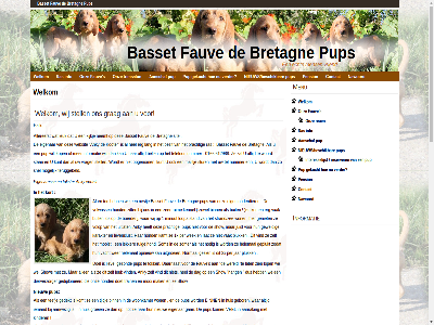 00 0166 1 12 14/2020 1500 1x 2026 2x 612988 8 aanrak aanschaf aanwez absolut af afbeeld all allen allereerst alvast ander anky artikel basset bedrag beher bell bezit bezoek binn blij boerderij bretagn buit buitenverblijf contact control copyright daarnaast dag denk dier dierverzorger dna doel doet echt eerst eig eigenar eigenares elk erg ergen erin eten euro familie fauv fok fokster gan gat gebor gedekt gedeponeerd gediplomeerd geit gekocht geled geniet genoeg geplukt gev geweld gewend gezien gezond goed grag groei hallo hang hel helemal hond hondj hop houd huis impact info informatie ingeent inteelt interesselijst jaarlijk jar juist kamt karakter kenn kennel kennelhoest kennis kijkj kinder kipjes klein klik kom komt kooter kop kort kost krijg kunt kwaliteitscontroles lad lang langer lat lekker ler leuk levenslust leveringsvoorwaard lez liev liever loopafstand lop los mag mailtj mak mamma mammahond mee mening mens menu middelburg minder minut mnd mogelijk mooi mooist n nawoord neemt nem nestj nieuw nieuws/beschikbare nodig normal nummer o.a omgan onz opgenom opnieuw oud ouderdier paard pension per pluk prachtig pup rad ras ravot rechtbank regelement renn reserved reserver reuen right roedel ruig ruim s sam show sit snel som spen stambom stan stell strand/zee stur teefj tel telefon terug teruggebeld teven tijdj toe train trek trimsalon uitgroei uitlat vacht vak vakbekwam verder verhuiz verkocht vertelt vind vlo volled volop volwass vrag vriend vrij wandel war we websit weg wek wel welkom wer wereld wij wijd will wilt won woonkamer woord zei zelfstand zer zien zit zoal zodat zomer zowel