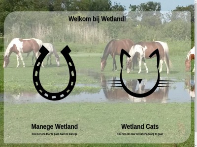 +31 2015 2024 622182944 by cat gan gt horses kattenopvang klik mad maneg portal re tel welkom wetland