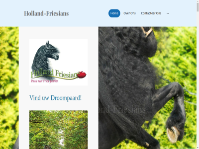1987 35 a aandacht aanpak achterhof adriaans advis adviser after after-sales aftersales akkoord all an and approach are art as auteursrecht away based believ bericht berichtj betrouw bewust bied biedt binn bought bred breeder breeding by carefully click contact contacter copyright customer doel dream droompaard een elk enorm enthousiast ermee ervan ervar etc europ europa excellent experienc famous few find finding foal fokker fokkerij for fries friesian from ga galerij gallery geeft gefokt gegeven gelov gepassioneerd geschikt gevestigd glob grag grootgebracht happy hav having hebt help hengst her hierbij holland holland-friesian hom hor horses hug hulp includ inmiddel international intrek jar johan journalist/schrijvers journalists/writers juist just kfps klantenservic klein klik konink kwaliteit liefhebber lik ll lok looking maandblad magazin mar match meest merrie messag moment monthly most nam ned nederland nem netherland nicol nodig offer one opgeslag or our paard partner passie passion passionat past perfect person personal photography phryso quality raised ras re recht reserved right sales schrijf selectie selectief selection sell seller selling send servic sinc sind slecht small sold sport stallion stand suitabl tell that the thuisland to toestemm uitstek uitziet us veld verkocht verkop verplicht vertel verwerkt verwijderd veul veulen veulentj vind voorbehoud we welcom welkom well wereldwijd what wij with working worldwid year you your zoekt zorgvuld