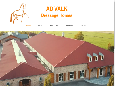 +31 0 1552 1818 2022 4305 6 60 about ad all contact dressag email exclusiv for get gorinchem hom horses join list mailing ng nl our reserved right sal stallion subscrib to updates valk vlietskad