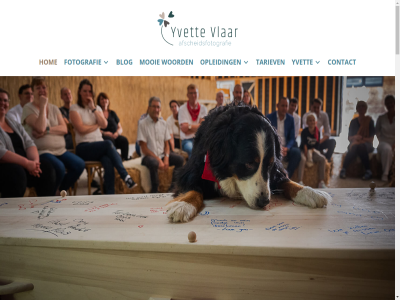 -2026 06 1654 19 2021 21 30a 31 42 423 621 96 afscheid afscheidsfotograf afscheidsfotografie all allen allerliefst ander begrafenis bekijk bel belef benningbroek bestat bezwar bied biedt bijzonder blog contact copyright crematie daarom dag dankbar dichtbij direct druk e e-mail echt eerbeton elk emotie enkel even facebok familie families fijn foto fotografer fotografie gat gedan genom geplaatst gev gevoel hal hand handig hel helemal hen herinner herken holland hom iederen info@yvettevlaar.nl instagram jk jullie kennismak knopj kom kunt kwetsbaarst laatst lach lang lat later leg lief liefd link loslat maakt mail mak misschien mocht moeilijk moet moment mooi nabestaand namelijk natur nederland nem nergen net noord omarm ontzet oosterstrat opleid opnieuw overled overtuigd past person pinterest privacy pur reportag roes rouwfotografie s sit som stan statement steun stukj super tariev terugdenk terwijl tijden toestemm troost uitvaart uitvaartfotograf uitvaartfotografie uniek vanuit vast vastleg vastlegg vastlegt verdriet verwijder via vind vindt vlar voel volled vriend vrijblijv waardevol waardevoll waarin waarop war warmt wet whatsapp woord yvet zie zoal zodat zond zorg zovel