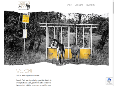 -23487015 0 0301 0315 06 10 100 20 2026 25 53 62003321 7161 aaibar aandacht aangezien aankoop/bijdrage aanpak ademt advies af all allemal an ander appj bart basis bedoeld behoeft bekijk bell bericht berichtj berkelland bevindt bewust bezig bied bijdraagt bijdrag binn binnenplat blijv boek buitenwerkplat cadeaus cadeautj check co co-coach coach coaching contact contactmaker daarom dag dagelijk dank del design dicht dier diner diver dona donadonkey donateurschap donkey draait drag drink dtp duidelijk eig eigenzinn elk en ervar ezel ezelbestan ezelcoach ezelmens ezelvrij ezelzak formulier gat gebruik gedrag/behoeften geinteresseerd gelov gelukk gev gewon gezond grafisch groeiplek groen hart heanig heerlijk hel herinner hom hoogt hop houding hulpverlen iban info@ezelsenco.nl inmiddel inzet jar jet jezelf jij jip jou kaartj kempersdijk kennis keuz kijk kijkj klein knuffel koffie kom komt kopj kracht krijg kud kun kvk lag lef lev levensless liefd liefdevoll linea locatie maand/kwartaal mag mak media men mens merkus mid mocht mogelijk motto naast natur ned nem nieuwsgier nl15 noem normal ogen omgev onderstaand onderzoek ontbijtj ontvang onz opbrengst opgedan optimal oren organisatie originel pacht paradijsj parttim per petra plek prachtig precies product professional puk ra rabo rak realisatie recta regelrecht rond rondom ruimt rust sam schal schat sessie sessies sh siem slimm snuffel social sparr speelomgev spel stabiel stapper steun structurel stur symbolisch technisch tempo ten tijden tof traject tuss uitdag uitvergrot vanaf vanuit verdiep vermog verras verrijk vertrag verwijz via vind visie volgen voorjar vormgev vrag vriendelijk vrij vrijwilliger waarheid wandel war we web webdesign webontwikkel webshop weiland wel welkom welzijn werk werkruimt werkt wij wijz will win win-win winkeltj woonplat woord workshop www.petratenhoopen.nl zacht zachtaard zicht zichzelf zien zintuig zodat zoek zon zonder zorg