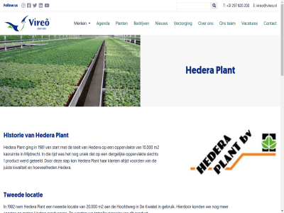+31 1 10.000 12 13 1424 1424pc 190.000 1981 1982 2 20.000 200 2012 2026 24 25 297 5 8 820 aalsmer adres agenda aglaonema alocasia assortiment beauties bedrijv bel beleaf berghoef beschikt bestat binn buit by cissus cm codiaeum contact cupressus daarnaast dergelijk developed dieffenbachia disclaimer diver dracaena e een eig favourit ficus floral follow gap gebruik gecertificeerd geteeld ging goed gren halffabrikat hedera heemskerk hierdor historie hoevel hoofdweg hpd info inmiddel innovation instagram jar juist jungl kantooradres kasruimt klant kond kwakel kwaliteit locatie locaties lop m2 mail mandevilla mat med meegegroeid meest merk mijdrecht monstera mps musa naast nam nieuw noordoostpolder onz oppervlakt pachira pc per philodendron pilea plant potmat potplant producer product productietijd reager regio roses ruim sales sansevieria schefflera slecht snel soort sparkling sq stap start strelitzia summerstar t team teelt tijd totaalleverancier total twed uniek us vacatures varieert verzorg vijf vind vireo vireo@vireo.nl vireoplantsales vireõ volg voorzien vrachtwagen vrag we wek werd wij wonder www.my-mps.com yucca zamioculcas zes zowel