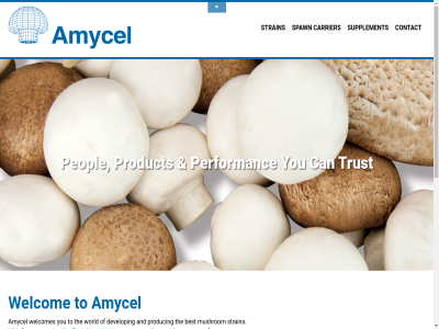0031 25 475 5 56 6014 62 a about affiliat amycel an and any are around being beneluxstrat best big can carrier cc company consistency contact contribut deliver demand develop disclaimer do e european famous farm farmer for franc grow grower hav healthy heirlom help hesitat history increased info@amycel.nl information ittervoort know largest lik lok marketer mission monterey mushrom ned netherland new not on one our ourselves peopl perform performanc policy privacy produc producer product production productivity quality queries read rely representatives research sit spawn strain strong succes supplement t technical testing the to triplex trust value vendom we welcom welcomes when with world you