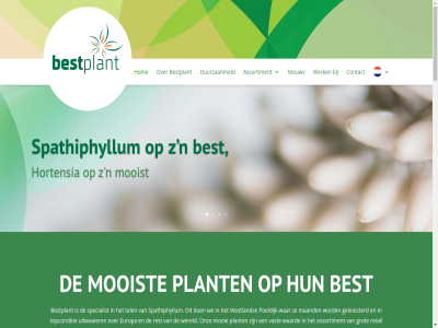 0174 1 10 17 1994 2 2026bestplant 24 244 2685 27 3 4 546 721 72838221 aantall aanwez absolut afnemer air aniq arbeid assortiment aw basis bedrijf bedrijfsgegeven beid beleid best bestplant bewez bijna bouwmarkt breng btw certificer cm co2 collega constant consument contact copyright daarbij daardor daarvan dag detaillist dijk doordat drad drijfver duurzam effect effectief eigenar ervar europa exact familiebedrijf families fax flexibel flink for fris gebied gekoesterd geniet geproost geteeld gev gewenst gezocht gezonder groei groep grot groter ha hecht historie hom honderdduiz hortensia info@bestplant.nl ingeruild ingezet jaarlijk jaarrond jarenlang juist kass kenmerk keten kiest kom kort kvk kwaliteit lang les lev lever lid lijn lokal loopt lucht luchtvocht luchtzuiver maakt maand mag mak medewerker mee middenweg milieu minder money mooi mooier mooist n nieuw nl859255438.b01 nr omgezet omvat ondernemer onderstrep onz organisatie person plant poeldijk potmat prettiger privacy productie productiviteit projectorganisatie pur reguler rest retail rijd rod s samenlev schoner sind so sociaal spathiphyllum specialist stevig team techniek teelt teelttechniek tel tijd topconditie tuincentra uitgedrag uitgegroeid uitwaaier value vandag vast verbetert verdampproces verkop versterk verzorg vorig vormt vrachtwag waarbij waard waarvan war we websit wek welzijn wereld werk werking westland wetenschapp wij z zer ziekteverzuim zien zorg zuidgeest zuurstof