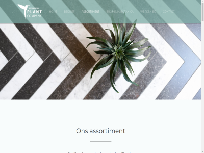 010 12 2661 27 521 54 9 aanbod actuel adres amigo ananas anita anthony assortiment bedrijf bekijk bergschenhoek biancini botanica bromelia camina capitata cm collection company contact desir dolc dx elan elena era facebok floriday francesca froz ga gallery happynes hom hop info@plantcompany.nl inhoud instagram isabella linkedin lionweg luminosa masterpieces media melissa mi misty mora nextara oerstediana ostara plant privacyverklar rosita roug signatur social stofberg studioblauw switch telefon tillandsia triplo variada verkoop@plantcompany.nl werk yeltix zamorosa ziva